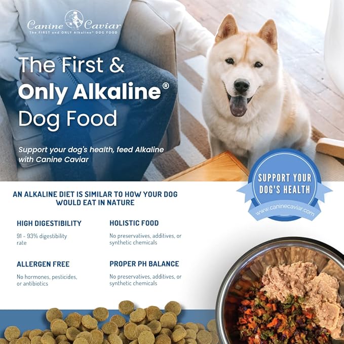 Canine Caviar Open Range Dog Food | Limited Ingredient Alkaline Holistic Dog Food – All Life Stages | Gluten Free, Ultra-Premium Dog Food | Healthy Skin & Coat | Buffalo & Chickpea – 4.4 lbs
