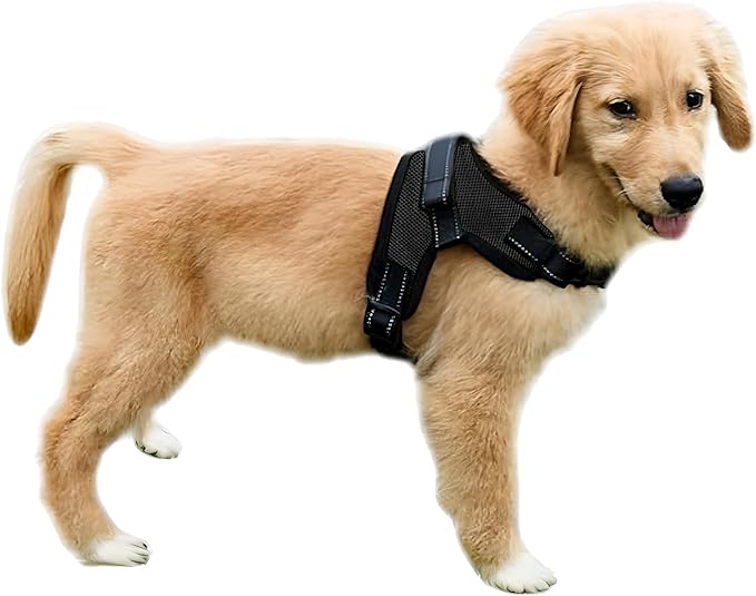 Dog Harness Small Sized Dogs - All Weather Mesh overhead adjustable no pull Vest Puppy reflective Harness with handle for Extra Small and Small Dogs by Copatchy - Harness (Black) X-Small