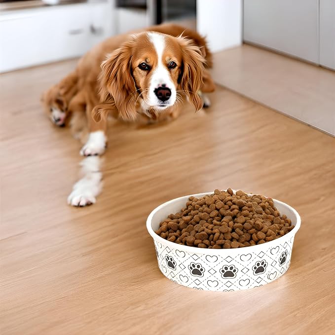 SOUJOY 40Pcs Disposable Pets Bowls, 16 oz Paper Dog Food Bowl, Cute Foot Print Design Travel Cat Feeding Bowl for Small Dog Puppy Dry and Wet Food or Water
