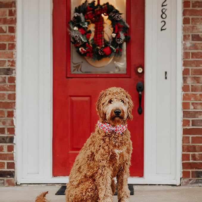 MR. CHUBBYFACE Christmas SquareTree Dog Collar with Bowtie, Cotton Boy Girl Dog Collars with Metal Buckle Cute Christmas Collars for Puppy Small Medium Large Dogs