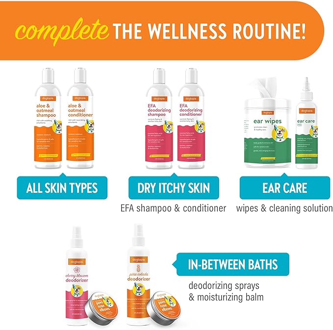 Everyday Aloe & Oatmeal Conditioner – 16oz Piña Colada Scent | Nourishing Pet Combo for Dogs and Pets | Rich with Soothing Emollients | Alcohol-Free, Soapless & Tearless