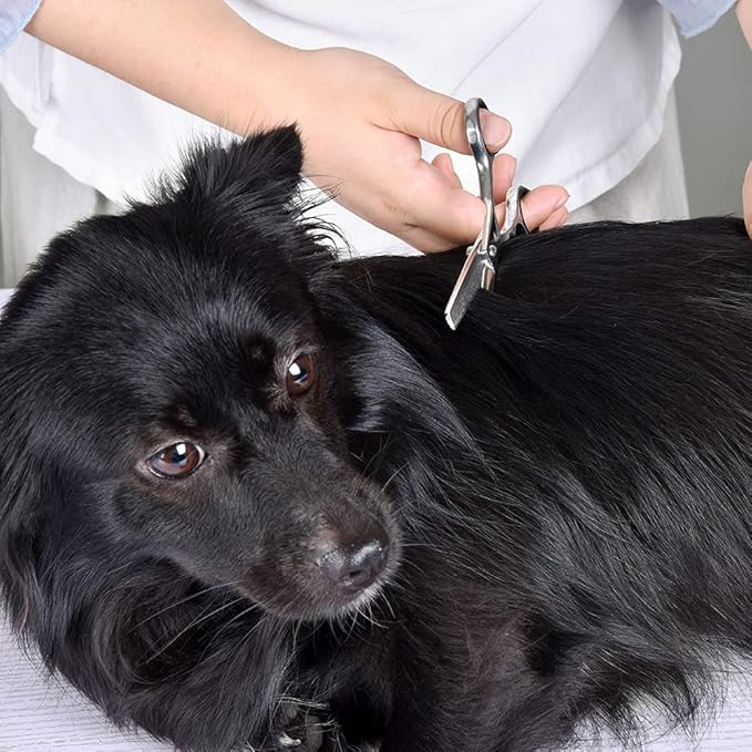 Dog Grooming Scissors 4CR Stainless Steel Pet Thinning Shears, Heavy-duty Titanium Coated, Size 6.7"