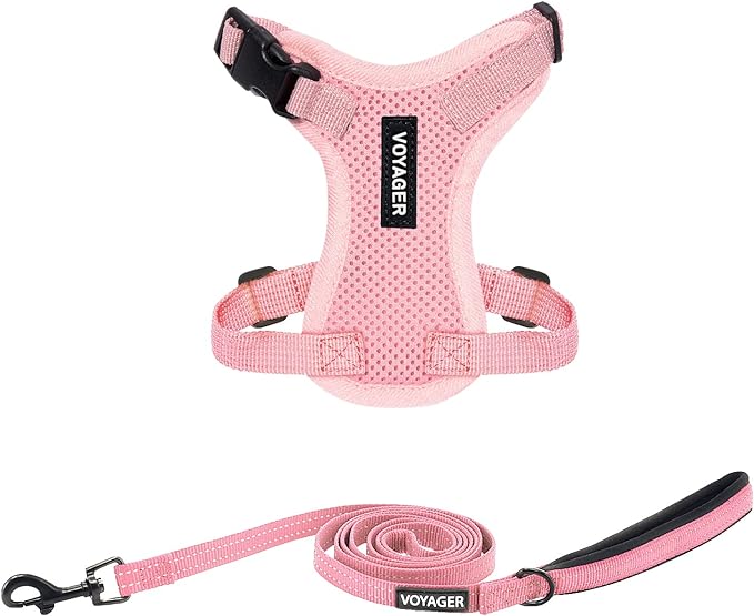 Voyager Step-in Lock Adjustable Cat Harness w. Cat Leash Combo Set with Neoprene Handle 5ft - Supports Small, Medium and Large Breed Cats by Best Pet Supplies - Pink, XXS