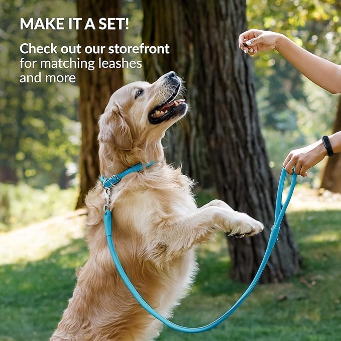 CollarDirect Rolled Leather Dog Collar, Soft Padded Round Puppy Collar, Handmade Genuine Leather Collar Dog Small Large Cat Collars 13 Colors (11-14 Inch, Light Blue Smooth)