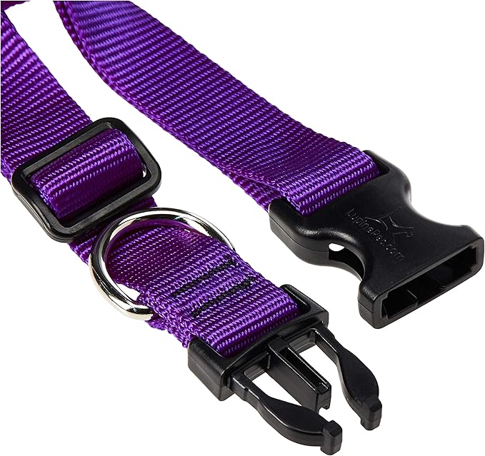 LupinePet Basics 1" Purple 12-20" Adjustable Collar for Medium and Larger Dogs