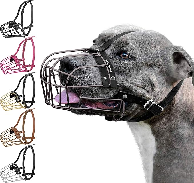 BRONZEDOG Pitbull Dog Muzzle Metal Mask Amstaff Wire Basket Pit Bull Adjustable Leather Straps for Large Dogs (Graphite Metal)