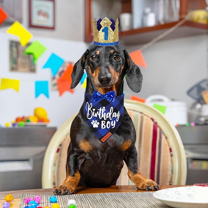 ADOGGYGO Dog Birthday Party Supplies, Blue Plaid Birthday Boy Dog Bandana, Golden Puppy Party Hat with Numbers, Bowtie for Small Puppies (Small)