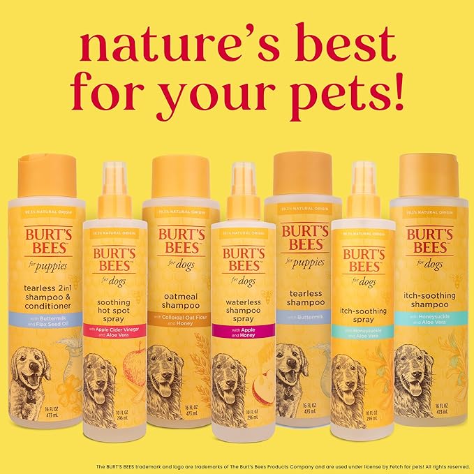 Burt's Bees for Pets Itch Soothing Shampoo with Honeysuckle, 95% Natural Origin Formulas, Dog Shampoo for Itchy Dogs, Dog Shampoo Itchy Skin Relief, 16 oz