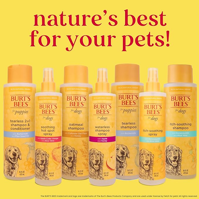 Burt's Bees for Pets Itch Soothing Shampoo with Honeysuckle, 95% Natural Origin Formulas, Dog Shampoo for Itchy Dogs, Dog Shampoo Itchy Skin Relief, 16 oz