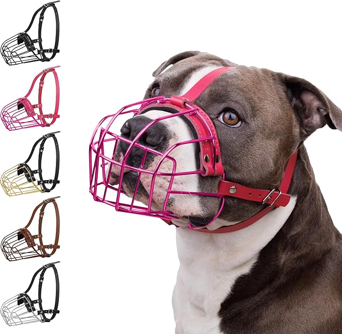 BRONZEDOG Pitbull Dog Muzzle Metal Mask Amstaff Wire Basket Pit Bull Adjustable Leather Straps for Large Dogs (Pink)
