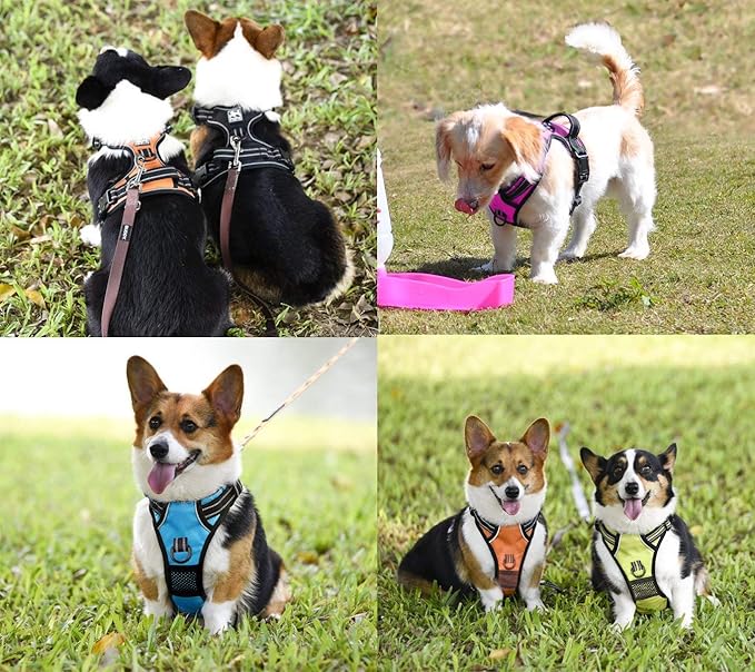 PoyPet No Pull Dog Harness, No Choke Front Clip Dog Reflective Harness, Adjustable Soft Padded Pet Vest with Easy Control Handle for Small to Large Dogs(Orange,S)
