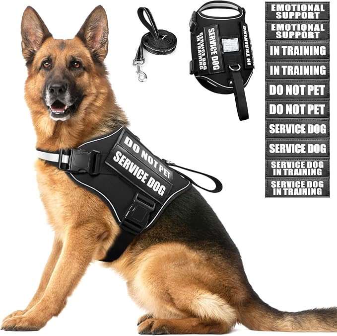 Service Dog Harness and Leash Set, Training Dog Vest with 10 Dog Patches, Emotional Support Therapy Dog Vest Harness for Small Medium Large and Extra Large Dogs(Black, XL)