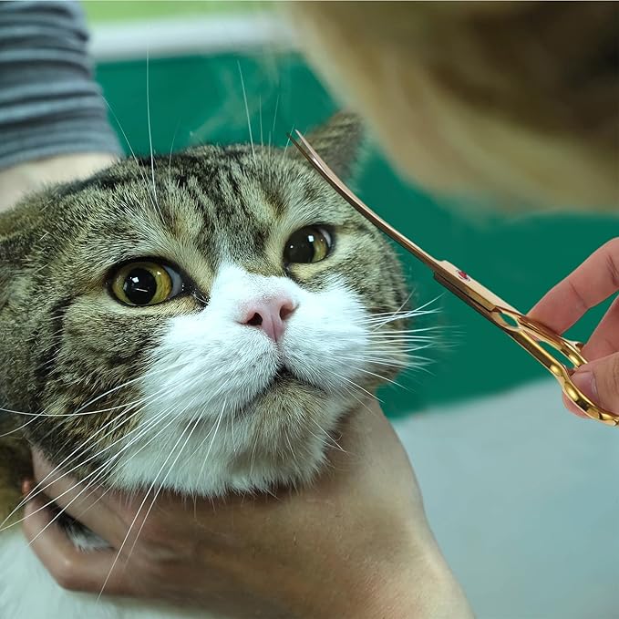 Dog Grooming Scissors, with Ergonomic Handle, Pill Popper for Cats, Upper Bend Shears, Stainless Steel Curved Shears for Dogs Cats, Gold Tone, 7.5inch