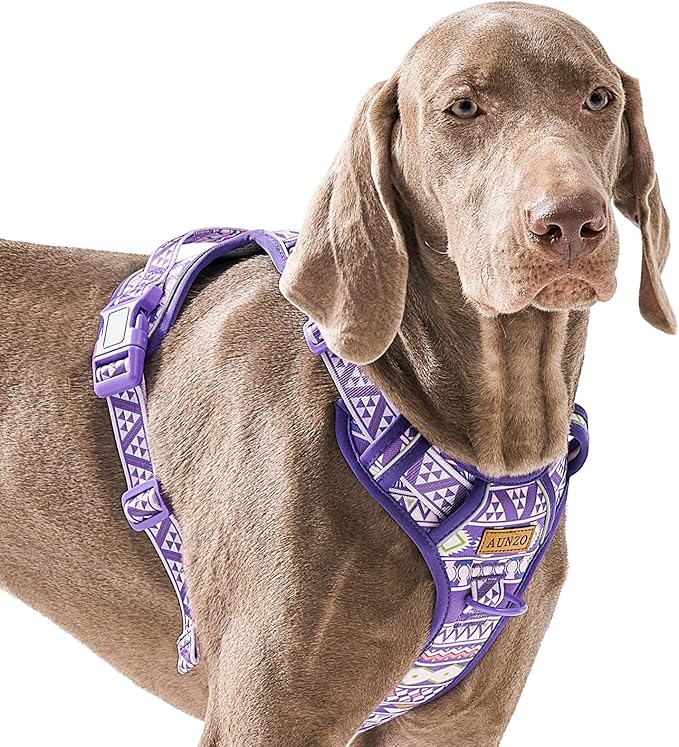 Purple Dog Harness with Ethnic Pattern for Big Dog, Like English Bulldog Doberman Husky Rottweiler Labrador, Easy to Put on and Take Off, No Pull Easy Walk Escapeproof No Choke, Large