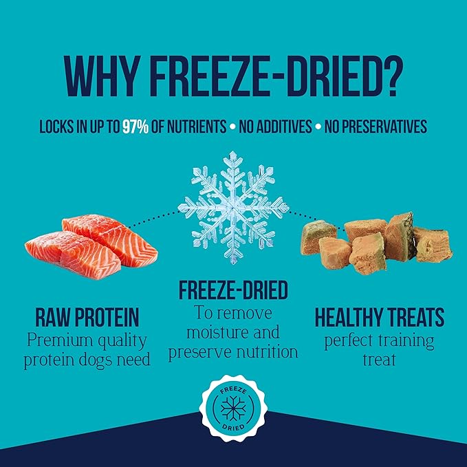 Stewart Single Ingredient Freeze Dried Raw Dog Treats, Wild Salmon, 9.5 Ounce, Approx. 190 Pieces per Resealable Tub, Training Treats or Meal Topper, High Protein, Grain Free, Gluten Free