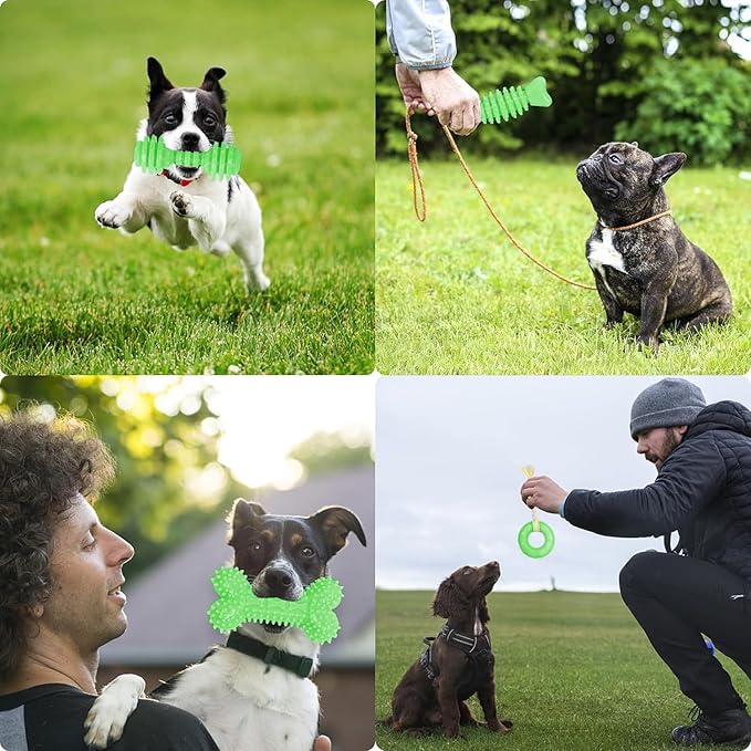 Puppy Toys, 6 Pack Dog Chew Toys for Puppy, Cute Green Small Dog Toys Teething Toys for Puppies, Soft Durable Interactive Chew Toy for Small Dogs