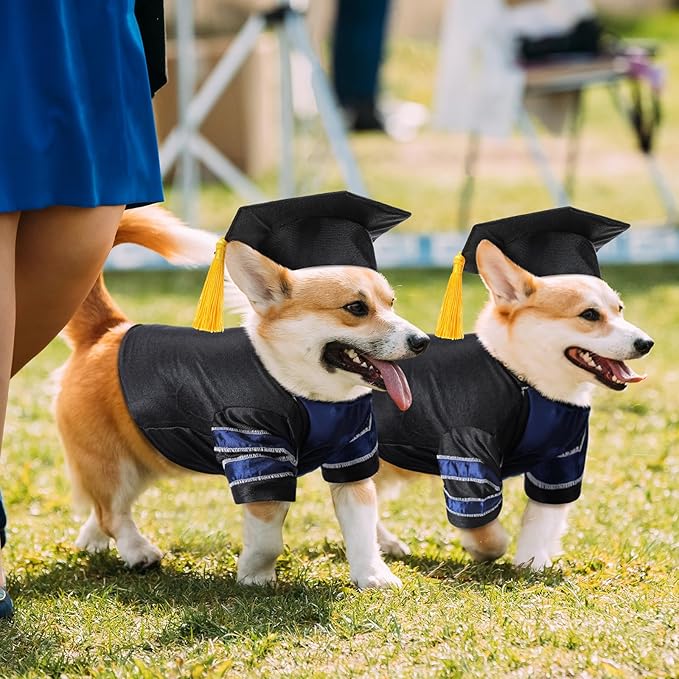 Geyoga Dog Cat Graduation Cap and Gown Set 2025 Washable Dog Costume Puppy Black Graduation Hat with Tassel Pet Holiday Party Costume Accessory(L)