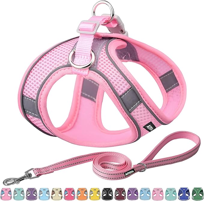 AIITLE Step in Dog Harness and Leash Set - Spring No Pull Escape Proof Vest Harnesses with Soft Mesh and Reflective Bands, Adjustable Pet Outdoor Harnesses for Small and Medium Dogs Pure Pink M