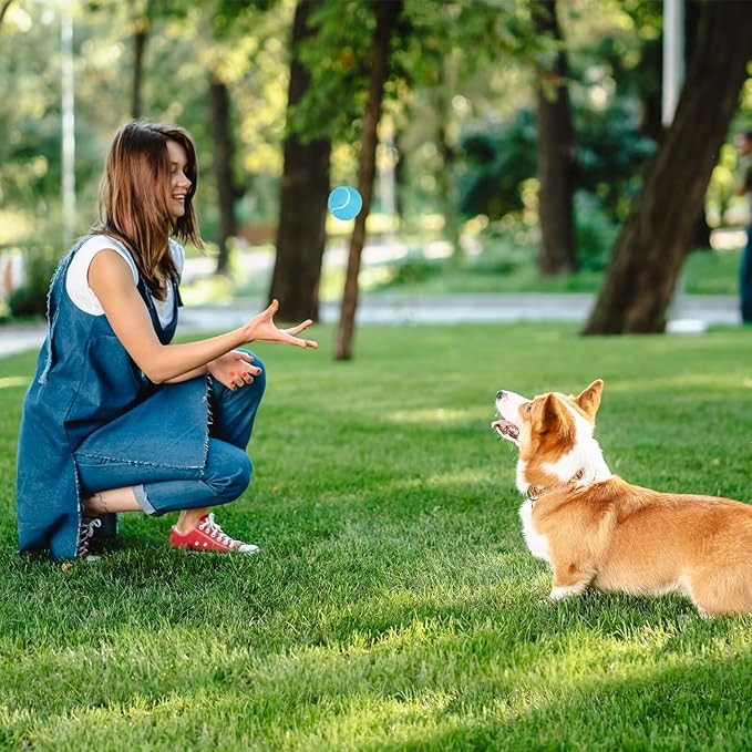 PrimePets Tennis Balls for Dogs, 2.5 Inch, 12 Pack, Squeaky Dog Toy, Interactive Pet Fetch Ball for Medium and Large Dogs, Squeaky Dog Toys (Random Color Shipping)