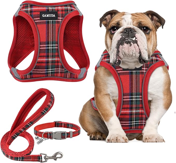 GAMUDA Small Dog Harness Collar and Leash Set, Step in No Chock No Pull Soft Mesh Adjustable Dog Vest Harnesses Plaid Reflective for Dogs Puppy Cats Kitten Rabbit (Red, L)