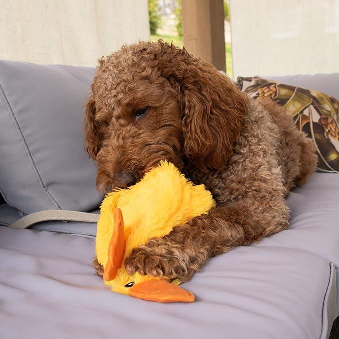 FGA MARKETPLACE Duck Flat NO Stuffing NO Squeak Plush Dog Toy, Funny Style Will Entertain Your Dog for Hours, Recommended for Small and Medium Dog 21 INCH Long