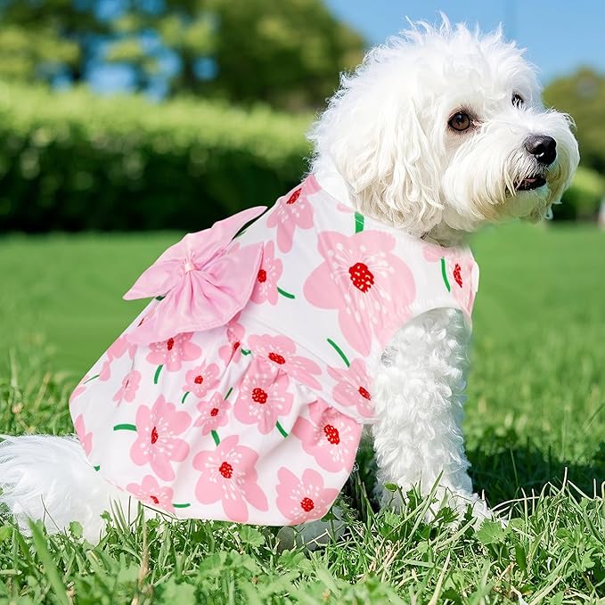 choyaxo Floral Dog Dress Cute Dog Skirt Pet Dress Summer Pet Clothes for Puppy Small Cats