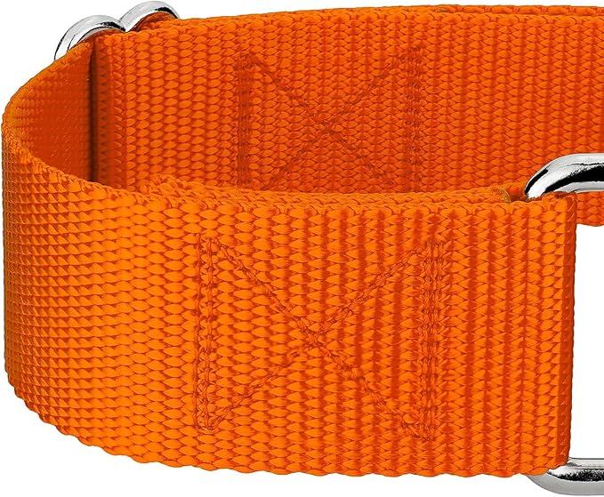 Country Brook Petz 1 1/2 Inch Martingale Heavy Duty Nylon Adjustable Dog Collar for Small, Medium, Large Breeds - Vibrant 17 Color Selection (Orange, Extra Large)
