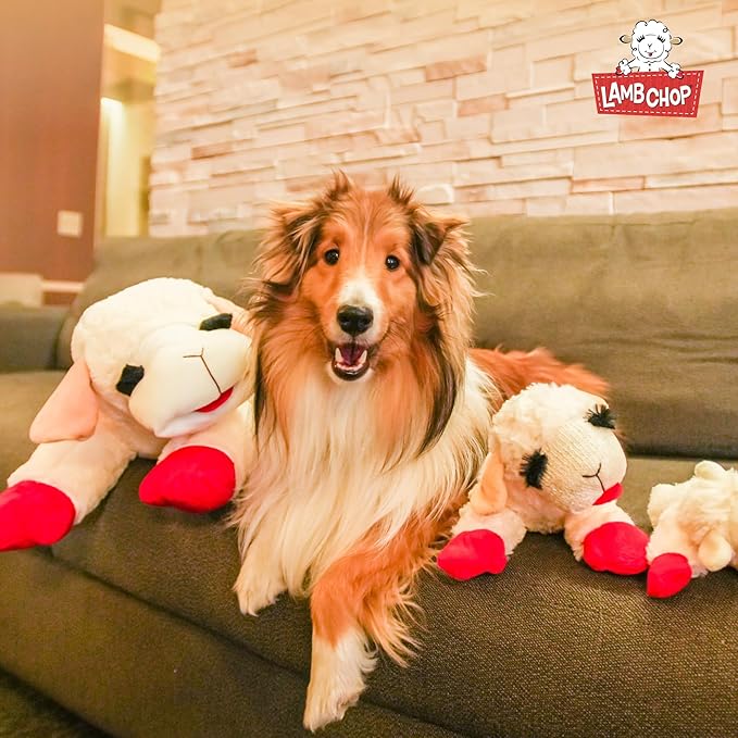 Multipet's Officially Licensed Lamb Chop Jumbo White Plush Dog Toy, 24-Inch
