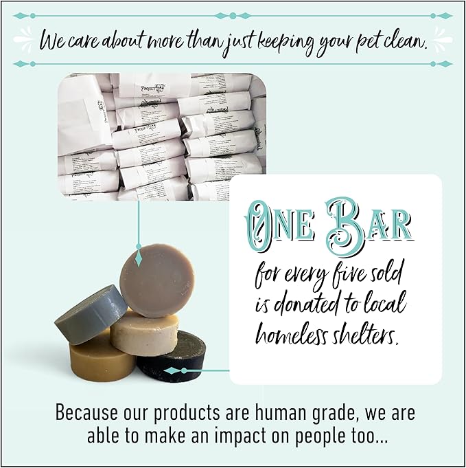 Activated Charcoal Liquid Shampoo for Dogs | Blood Orange Patchuili | Odor Eliminating | Deep Cleaning Shampoo