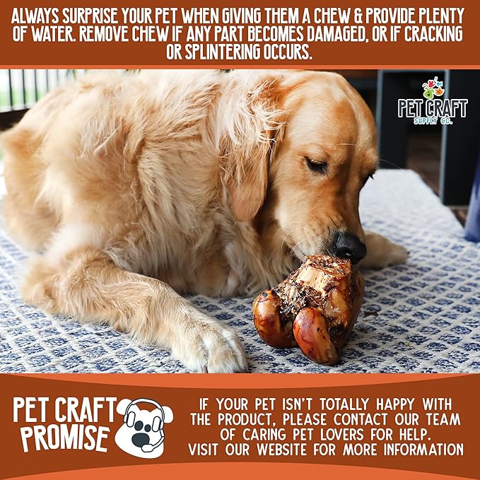 Pet Craft Supply ALL Natural Healthy Buffalo Femur Center Knuckle Bones Dog Chews Treats for Aggressive Chewers Long Lasting Rawhide Free Premium Grade Slow Roasted for Medium Large Dogs