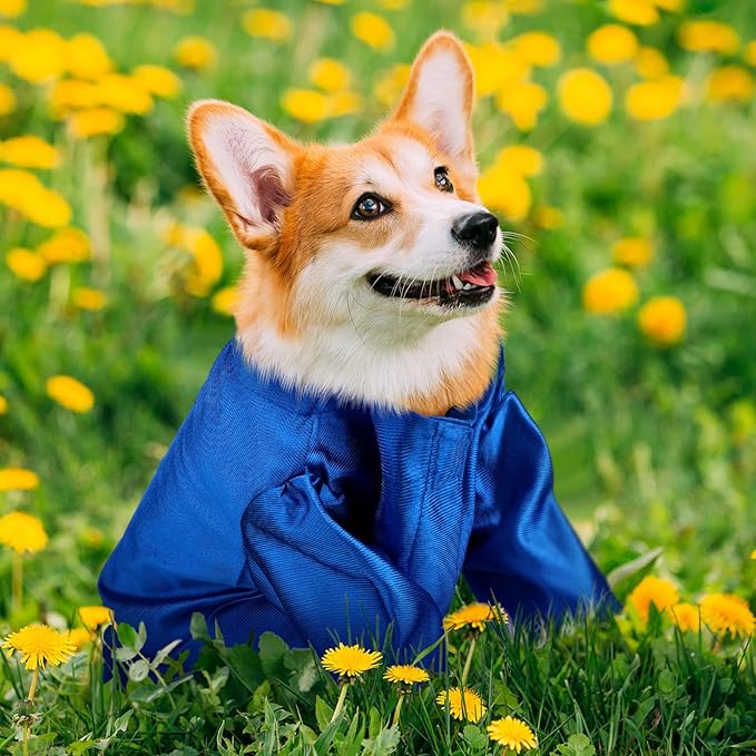 Dog Graduation Cap and Gown 2025 Washable Pet Graduation Costume for Dog Cat Shirt and hat(Royal Blue)