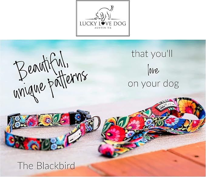 Lucky Love Dog - Easy Click Buckle Dog Collar with Leash Set Combo, Durable & Comfortable Collar for Male & Female Dogs, Pet Collar for Small to Large Dogs, Secure Fit - Blackbird Combo, Medium