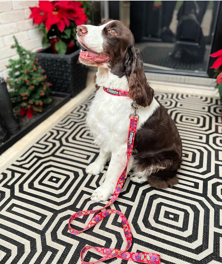 Lucky Love Dog, Winter Stocking Caps and Mittens Dog Collar and Leash Set, Matching Snowflakes Collar and Leash for Male and Female Dogs - (Extra Small, Chilly Combo)