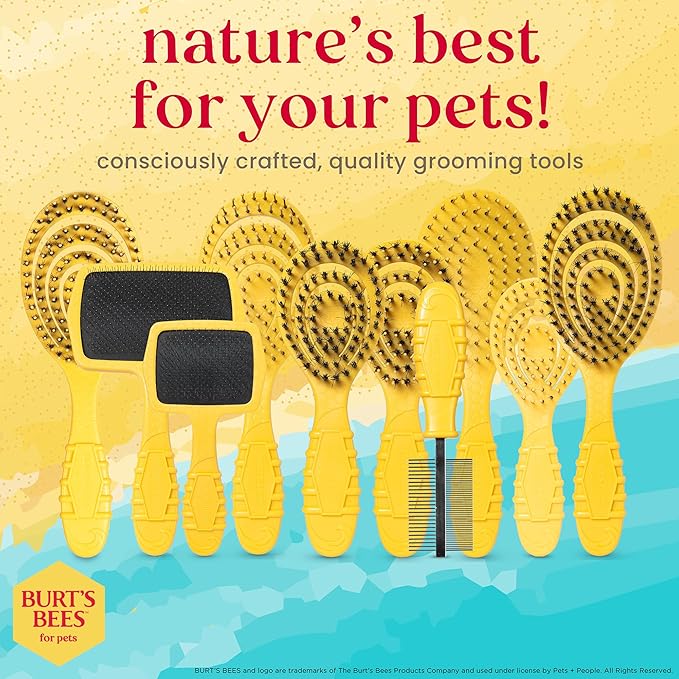 Burt's Bees for Pets Detangling Pin Brush for Puppies and Small Dogs | Handle Made from Recycled Plastics Collected from Coastal Communities | Dog Brush Removes Tangles and Loosens Light Matting