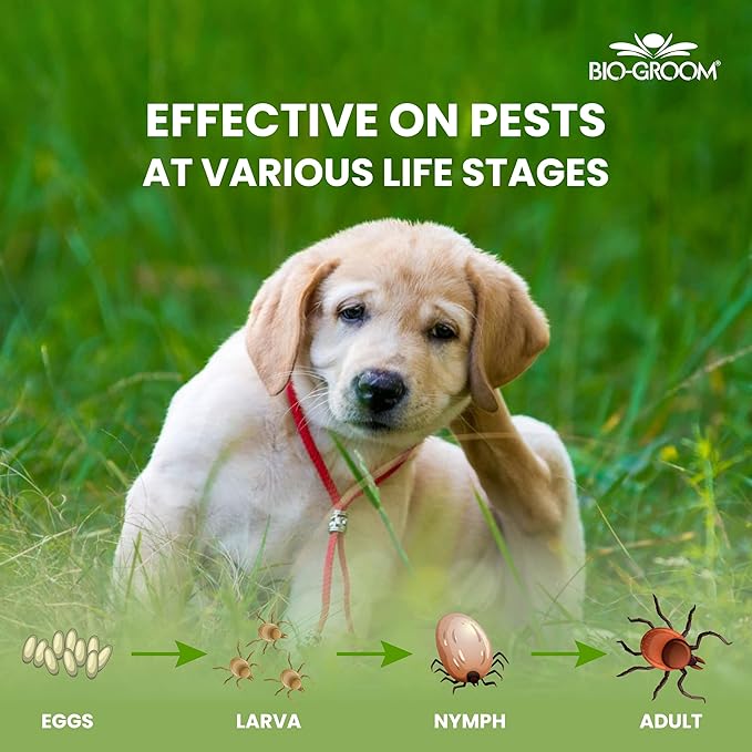 Bio-Groom Flea & Tick Dog Shampoo – Flea and Tick Prevention for Dogs, Cat Flea Treatment, Cruelty-Free, Made in USA, Natural Tick Repellent, Protein-Lanolin Shampoo – 12 fl oz 1-Pack