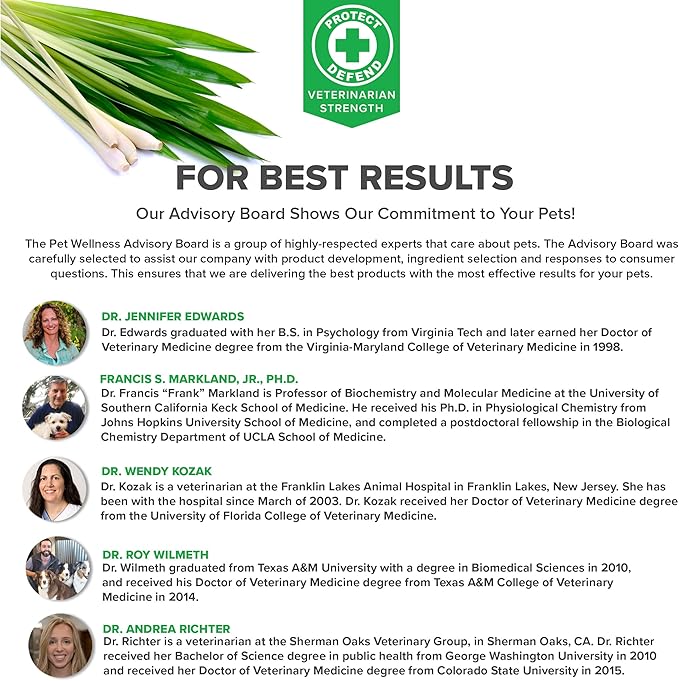 Protect Shampoo for Dogs; No More Scratching, Itching, or Hot Spots with Plant-Based All-Natural Formula with Healthy Essential Oils - Made in USA