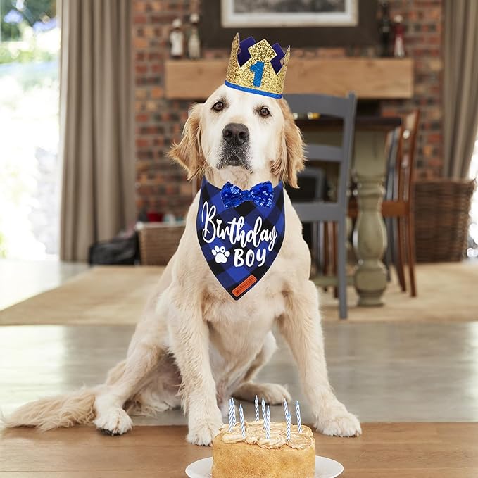 ADOGGYGO Dog Birthday Party Supplies, Blue Plaid Birthday Boy Dog Bandana, Golden Pet Party Hat with Numbers, Bowtie for Medium Large Pets (Large)