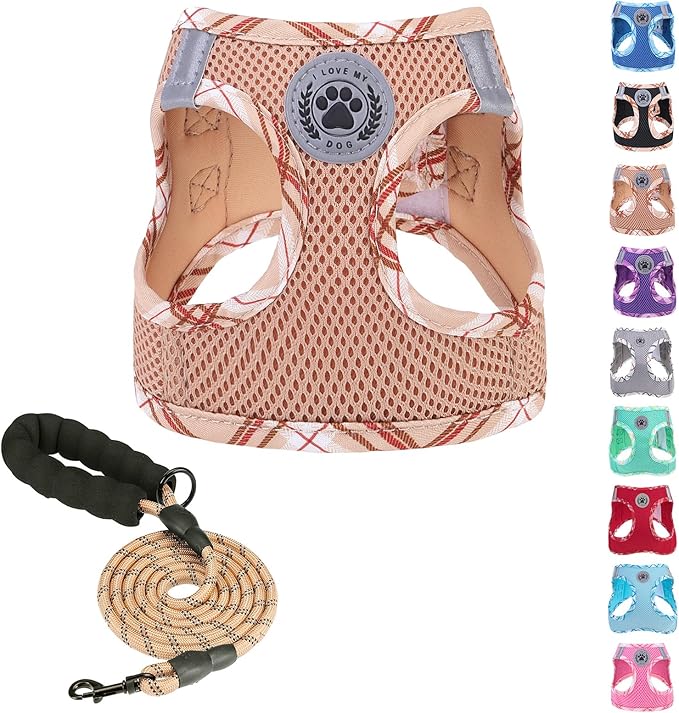 BEAUTYZOO Harness & Leash Set for Small Dogs, No Pull Step-in Harness for Puppy Medium Dogs and Cats, Air Mesh Adjustable Breathable Soft No Chock Escape Proof ,XS (Chest: 13.5-15 IN)*Including Leash