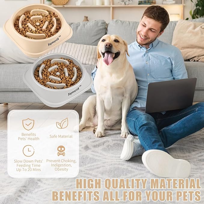 2 Pack Slow Feeder Dog Bowls for Healthy Eating, Non-Slip and Anti-Choking Design, Reduces Bloating & Overeating for Large Dogs, Easy to Clean