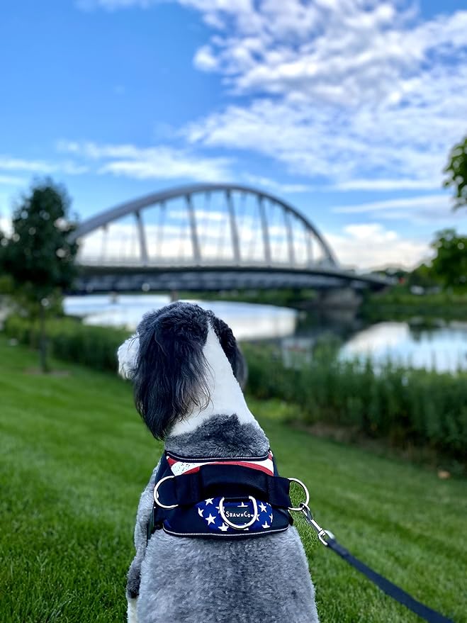 ShawnCo Essential Dog Harness, No-Pull Pet Vest with 3 Leash Clips, No Choke, Reflective, Adjustable and Padded, for Easy Walking and Training for Small, Medium and Large Dogs (Stars and Stripes, XL)