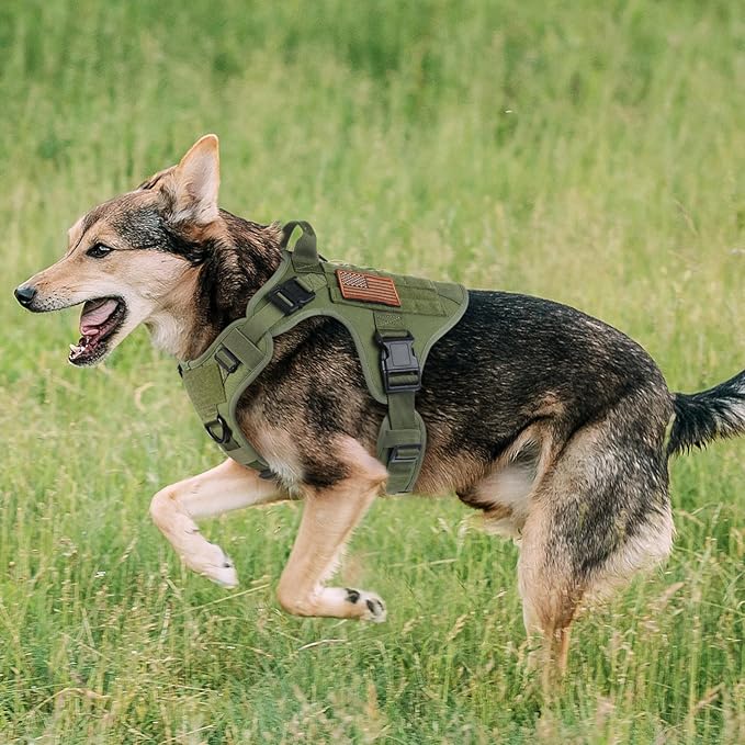 rabbitgoo Tactical Dog Harness for Large Dogs, Heavy Duty Dog Harness with Handle, No-Pull Service Dog Vest Large Breed, Adjustable Military Dog Vest Harness for Training Hunting Walking, Green, XL