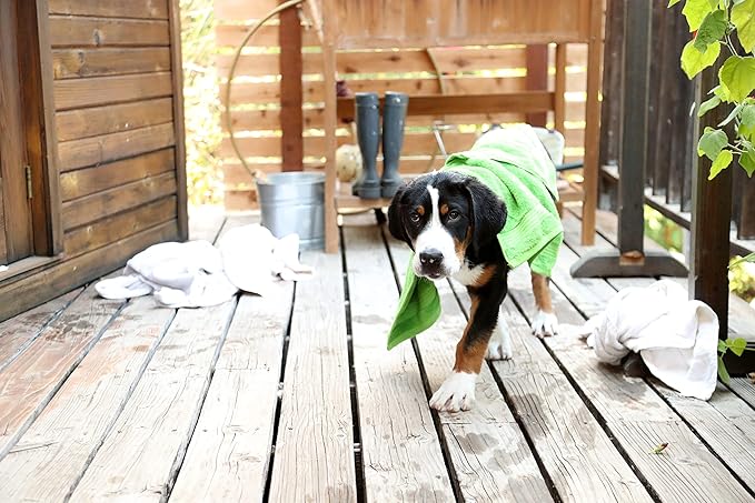 Kawell USA Natural Dog Shampoo for Dry Sensitive Itchy Skin, Hot Spots - Anti-Inflammatory, Antifungal, Anti-Shedding Grooming Shampoo with Matico Healing Properties - for Healthy Skin and Coats, 12oz