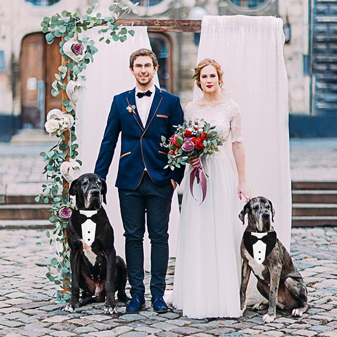 Dog Tuxedo Suit Wedding Bandana Collar with Bow Tie, Adjustable Formal Dog Tux Engagement Birthday Tuxedo for Large X-Large Dogs Pets (X-Large: Neck 21"-30")