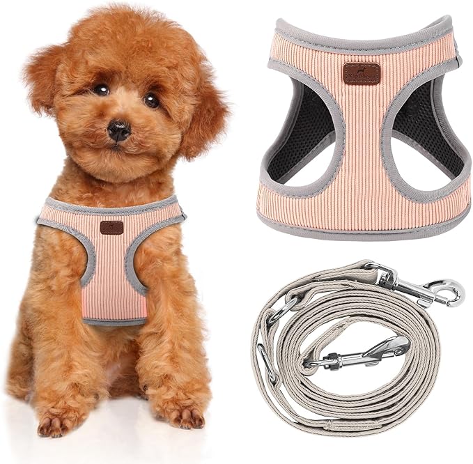 Dog Harness with Multifunction Dog Leash,No Pull Reflective Step-in Harness for Soft Adjustable No Choke Escape Proof,Easy Walk Dog Harness for Puppy,Small Dogs (Pink, S)