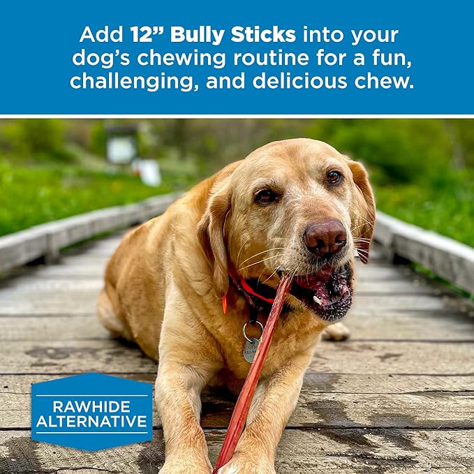 Best Bully Sticks for Dogs 12 Inch Bully Sticks, 8oz - 100% Natural Grass-Fed Beef Dog Bully Sticks for Medium/Large Dogs - Bully Stick Dog Chews