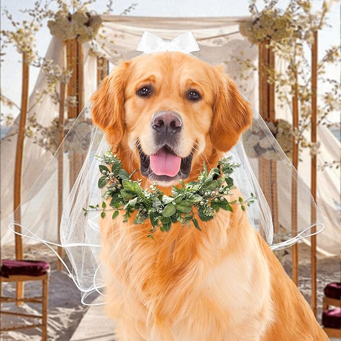 Dog Bow Veil, Pet Wedding Veil with Clip White Dog Wedding Veil Dres Handmade Dog Bride Headwear Costume Small Dog Wedding Outfit Hair Accessories for Birthday Wedding Party Decorations