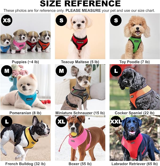 Puppia Soft Dog Harness No Choke Over-The-Head Triple Layered Breathable Mesh Adjustable Chest Belt and Quick-Release Buckle, Sky Blue, X-Small