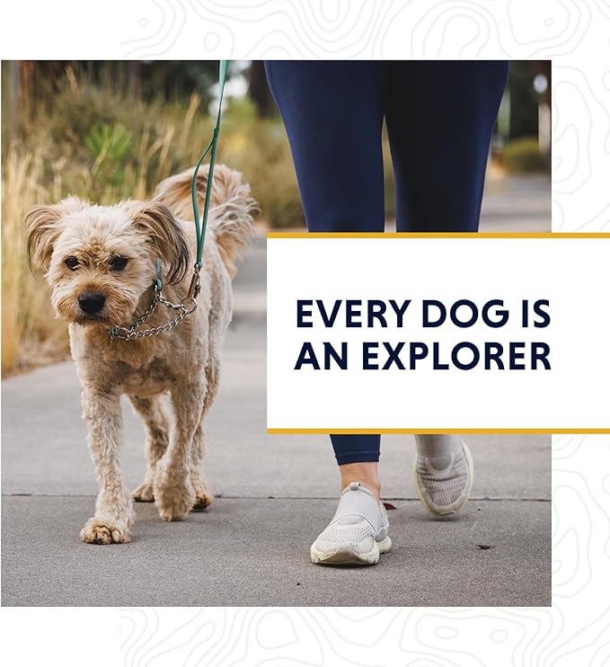 Ruffwear, Chain Reaction Dog Collar, Martingale Style for On-Leash Walking, Basalt Gray, 14"-20"