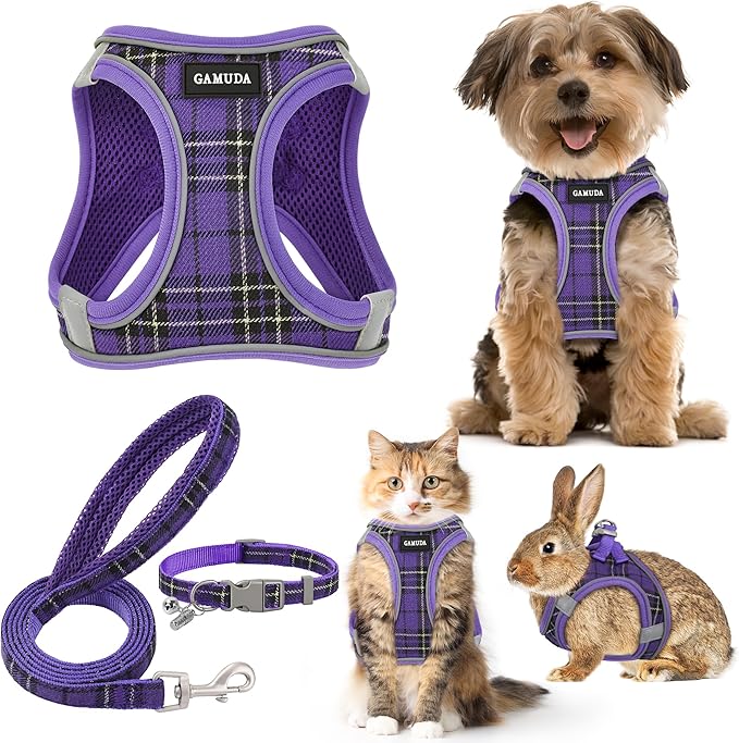 GAMUDA Small Dog Harness Collar and Leash Set, Step in No Chock No Pull Soft Mesh Adjustable Dog Vest Harnesses Plaid Reflective for Dogs Puppy Cats Kitten Rabbit (Purple, XS)