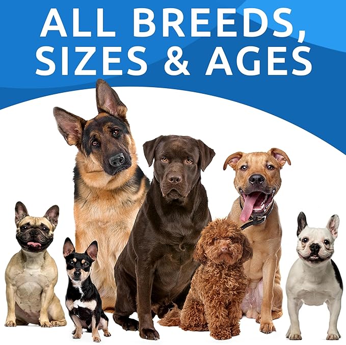 BARK&SPARK Dog Allergy Relief Chews (180 Treats) - Anti-Itch Skin & Coat Supplement - Omega 3 Fish Oil - Itchy Skin Relief Treatment Pills - Itching&Paw Licking - Dry Skin & Hot Spots - Chicken Liver